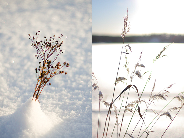 vinter2010