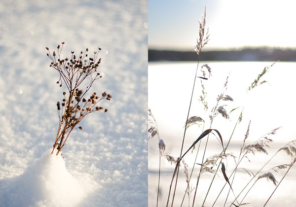 Vinter-vitt